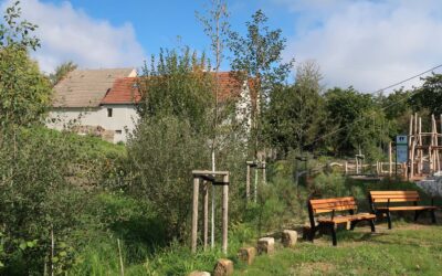 Festplatz Podemus und Offenlegung des Abzugsgrabens