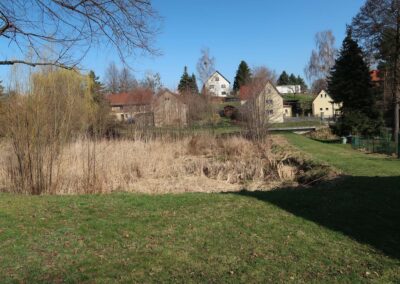 Bestand: Der abgelassene Teich