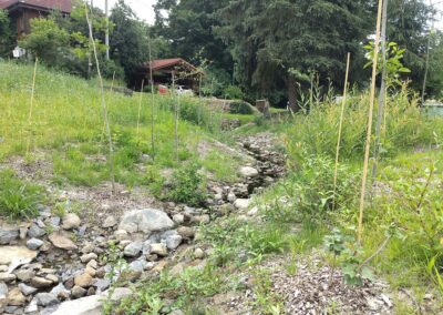 Wasser im Bach bringt Leben